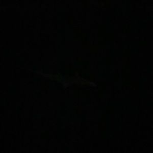 Meet your Posher, Colton